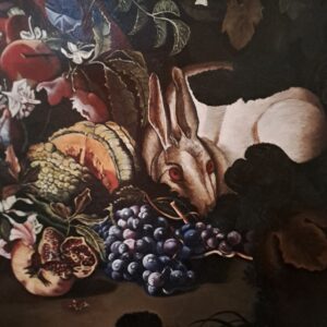 particolare coniglio e uva